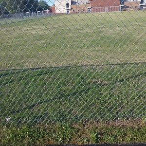 Meet your Posher, Felicia